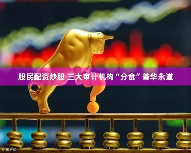 股民配资炒股 三大审计机构“分食”普华永道