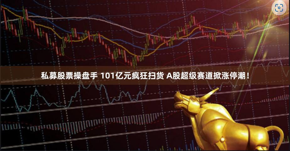 私募股票操盘手 101亿元疯狂扫货 A股超级赛道掀涨停潮！