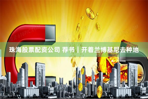 珠海股票配资公司 荐书｜开着兰博基尼去种地