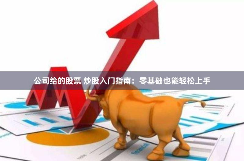 公司给的股票 炒股入门指南：零基础也能轻松上手