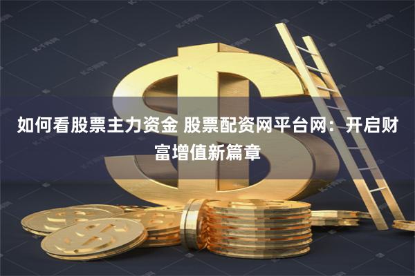 如何看股票主力资金 股票配资网平台网：开启财富增值新篇章