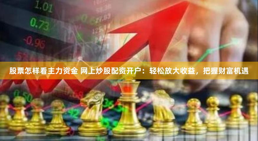 股票怎样看主力资金 网上炒股配资开户：轻松放大收益，把握财富机遇